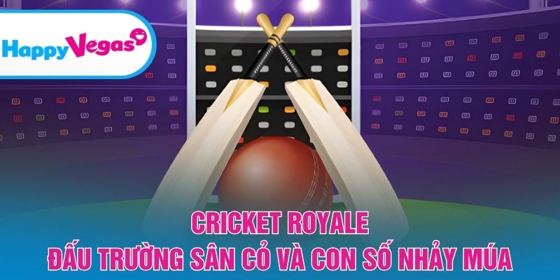 Sân đấu cricket kết hợp yếu tố may mắn và chiến thuật